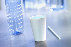100 Trinkbecher für Kaltgetränke, Pappe 0,2 l Ø 8 cm · 8,8 cm grün