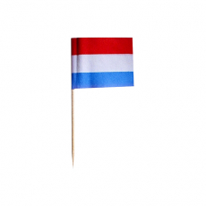 500 Deko-Picker 8 cm Niederlande