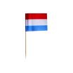 500 Deko-Picker 8 cm Niederlande