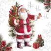 20 Servietten, 3-lagig 1/4-Falz 33 cm x 33 cm HoHoHo