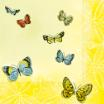 20 Servietten, 3-lagig 1/4-Falz 33 cm x 33 cm Papillons