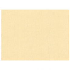 60 Tischsets, stoffähnlich, PV-Tissue ROYAL Collection Plus 30 cm x 40 cm champagner