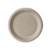 50 Teller, Zuckerrohr pure ungeteilt Ø 15 cm · 2 cm natur