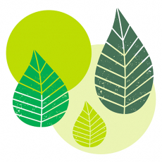 20 Servietten, 3-lagig 1/4-Falz 40 cm x 40 cm grün Graphic Leaves