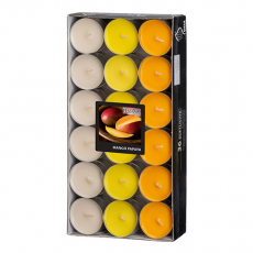 36 Flavour by GALA Duftlichte Ø 38 mm · 17 mm pfirsich - Mango-Papaya Ton in Ton