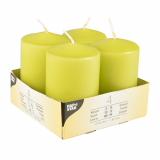 4 Stumpenkerzen Ø 50 mm · 80 mm kiwi