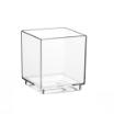 30 Fingerfood - Schalen, PS eckig 55 ml 4,7 cm x 4,2 cm x 4,2 cm glasklar