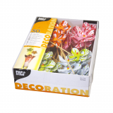 50 Deko-Picker 17,5 cm farbig sortiert Windmühle