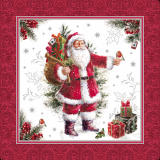 20 Servietten, 3-lagig 1/4-Falz 40 cm x 40 cm HoHoHo