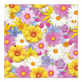 20 Servietten, 3-lagig 1/4-Falz 33 cm x 33 cm Daisies Mix