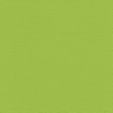 30 Servietten, 2-lagig PUNTO 1/4-Falz 38 cm x 38 cm apfelgrün mikrogeprägt