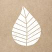 20 Servietten, 3-lagig 1/4-Falz 33 cm x 33 cm natur Graphic Leaves
