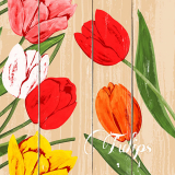 50 Servietten, 3-lagig 1/4-Falz 40 cm x 40 cm Blooming Tulips