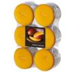 12 Flavour by GALA Maxi Duftlichte Ø 58 mm · 24 mm pfirsich - Mango-Papaya