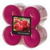 8 Flavour by GALA Maxi Duftlichte Ø 59 mm · 24 mm weinrot - Wild Raspberry in Polycarbonathülle