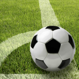 10 x  20 Servietten, 3-lagig 1/4-Falz 33 cm x 33 cm Football