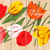6 x  100 Servietten, 3-lagig 1/4-Falz 33 cm x 33 cm Blooming Tulips
